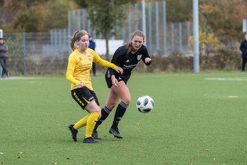 Bild 228 - F FSC Kaltenkirchen - SV Frisia 03 Risum-Lindholm : Ergebnis: 0:7